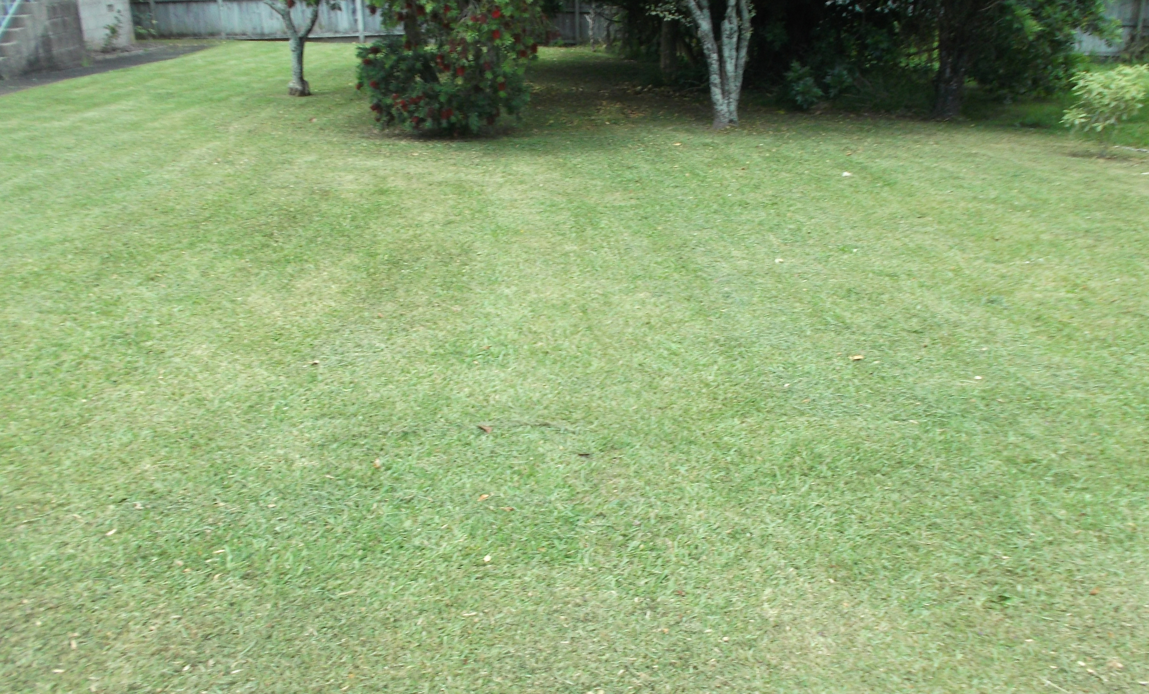 Lawn Mowing North Shore Jd Property Services